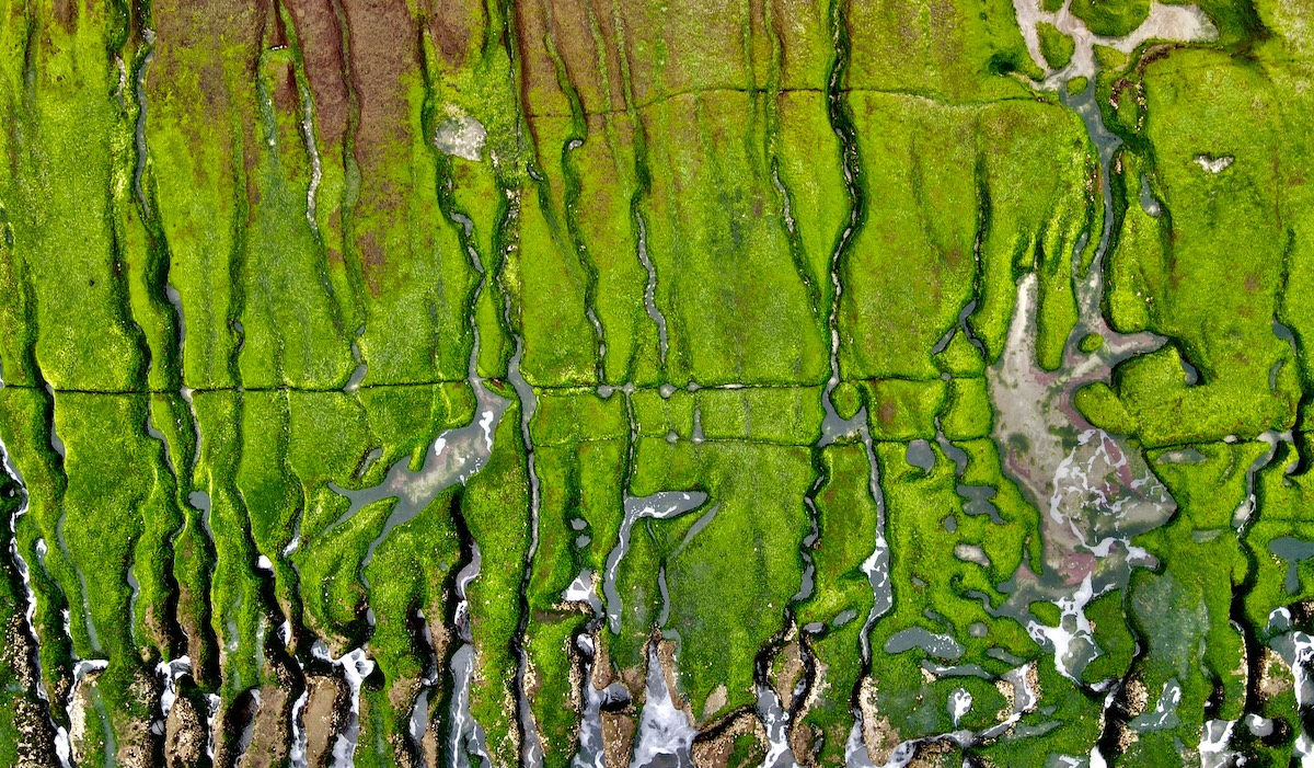 cys-terrarisk-envionmental